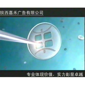 陜西嘉禾影音文化傳播有限公司電視節(jié)目策劃方案